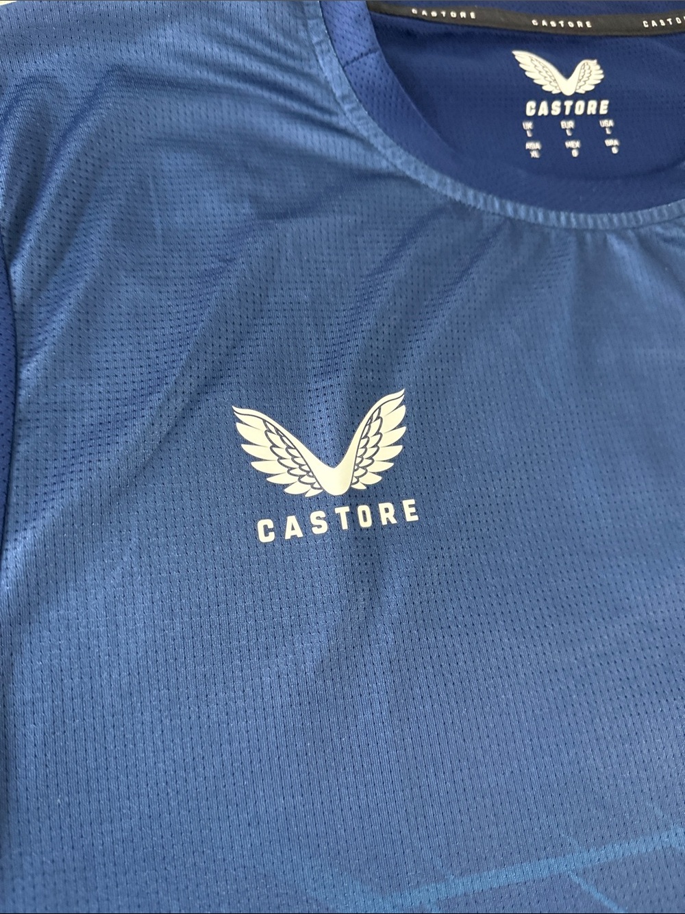 Rangers Football Club 2023-24 Castore Pre-Match Training Jersey View 2